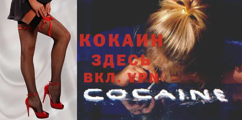 маркетплейс формула  Ладушкин  OMG маркетплейс  COCAIN Fish Scale  как найти наркотики 