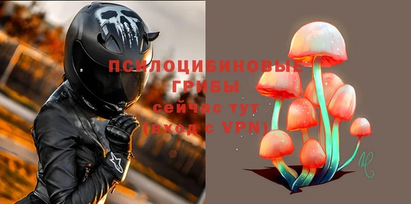 соль курить ск Нязепетровск