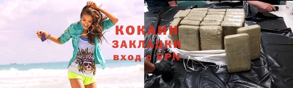 эйфоретик Няндома