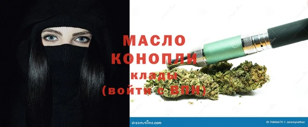 эйфоретик Няндома