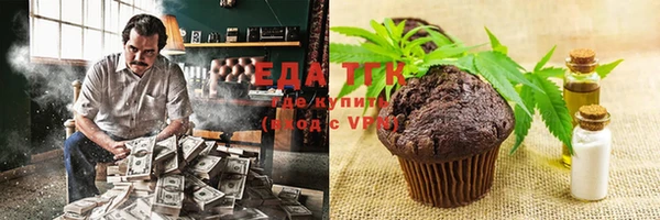 эйфоретик Няндома