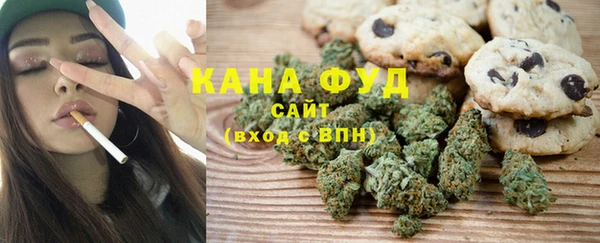 эйфоретик Няндома