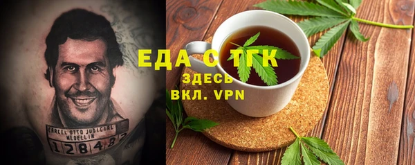 эйфоретик Няндома
