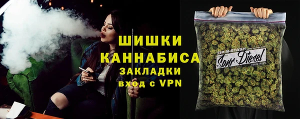 эйфоретик Няндома