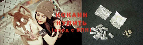 прущая мука Новодвинск