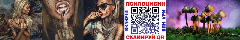 даркнет сайт  Ладушкин  блэк спрут сайт  Галлюциногенные грибы Psilocybe 